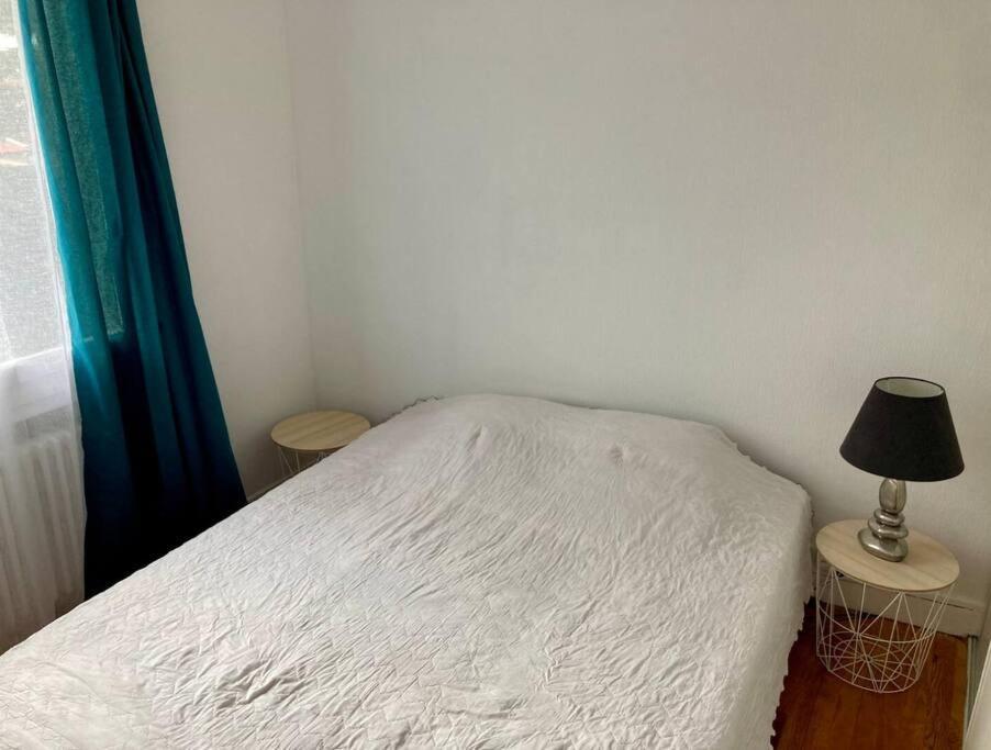 Grand Appartement Proche Cite De L'Espace 圖盧茲 外观 照片